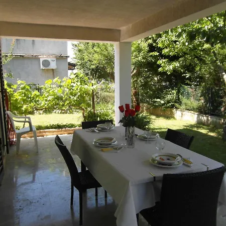 Ida, 100 M From The