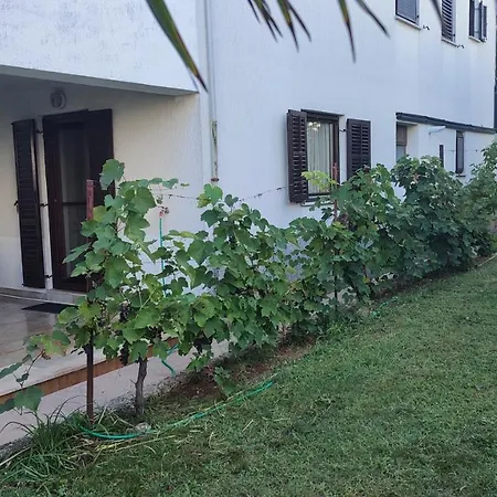 Appartement Ida, 100 M From The
